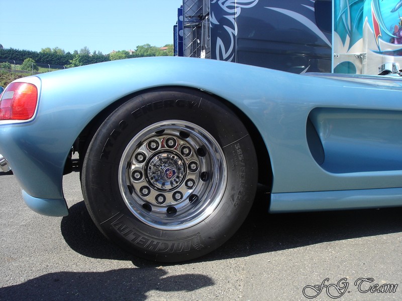 Svempas Shark (18).JPG